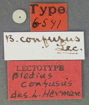 Media type: image;   Entomology 6541 Aspect: labels